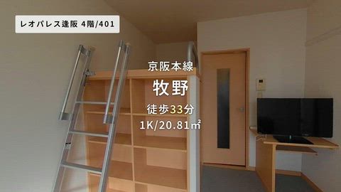 動画