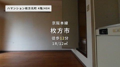 動画