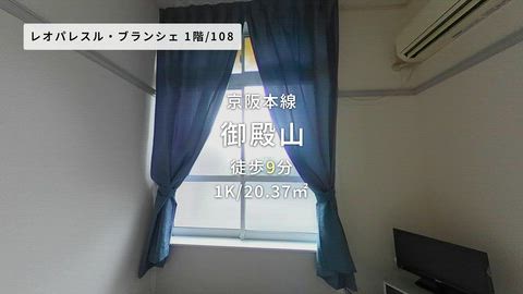 動画