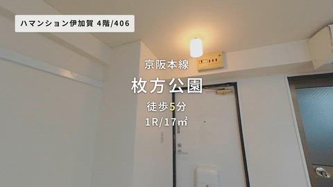 動画