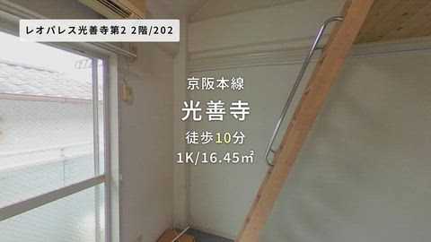 動画