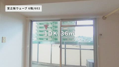 紹介ムービー