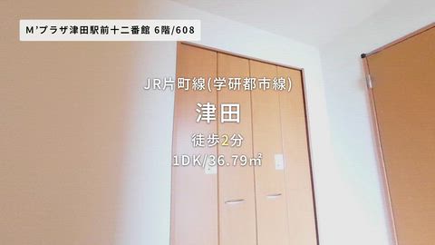 動画