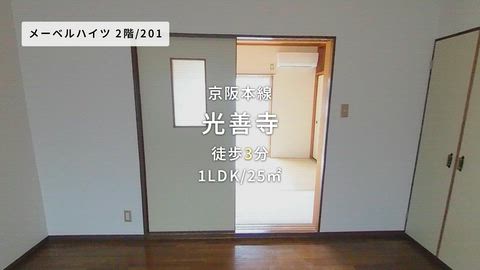 動画