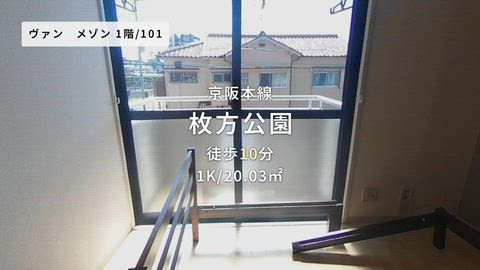 動画
