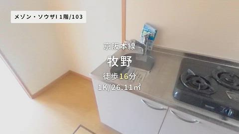動画