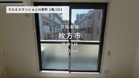 動画