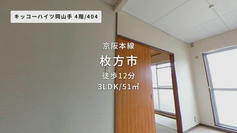 動画