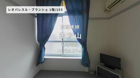 動画