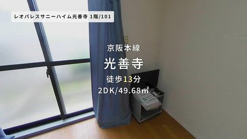 動画