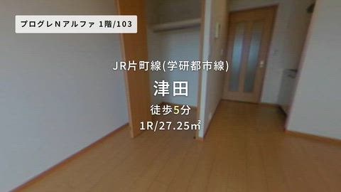 動画