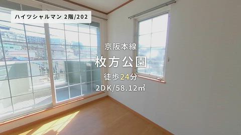 動画