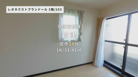 動画
