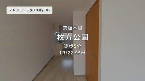 動画