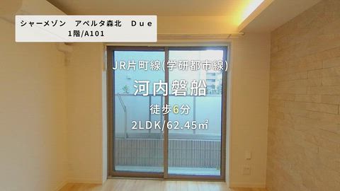 動画