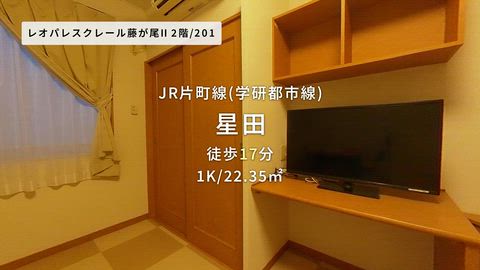 動画