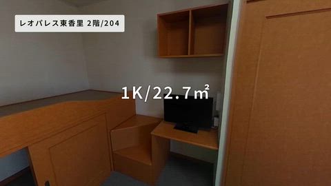 動画