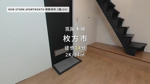 動画