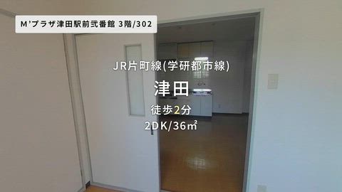 動画