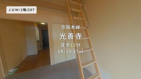 動画