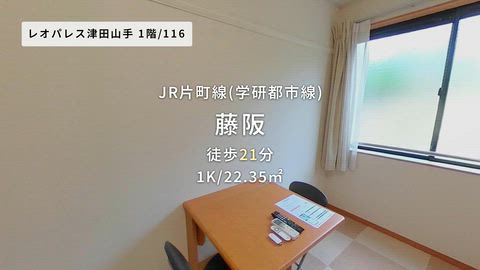 動画