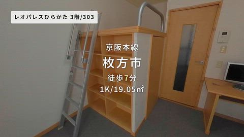 動画