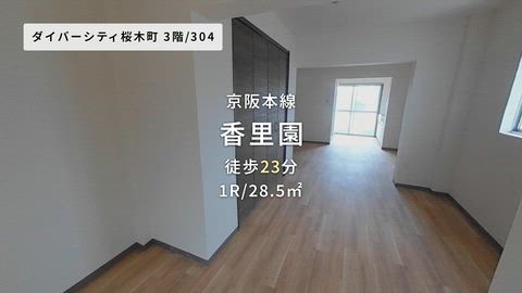 動画