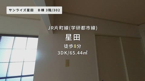動画