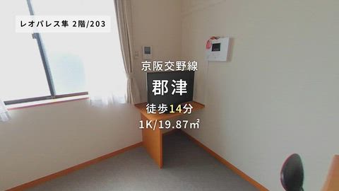 動画