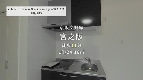動画