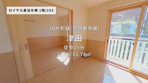 動画