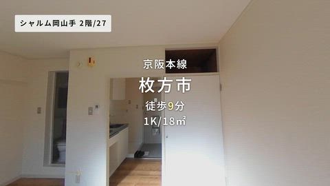 動画