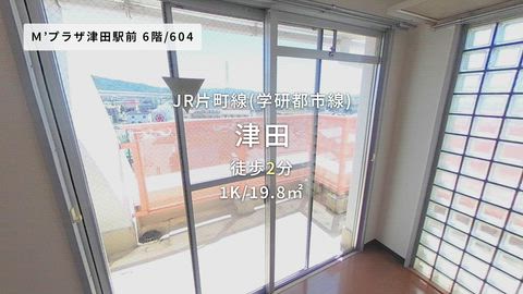動画