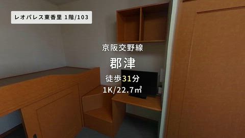 動画