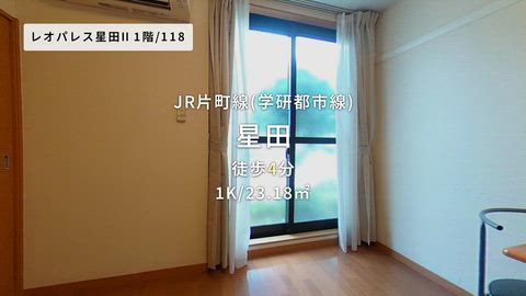 動画