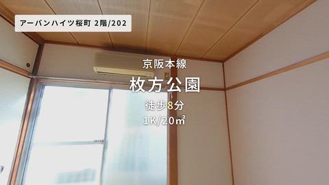 動画