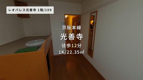 動画