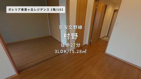 動画