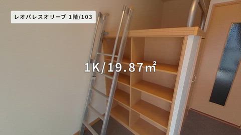 紹介ムービー