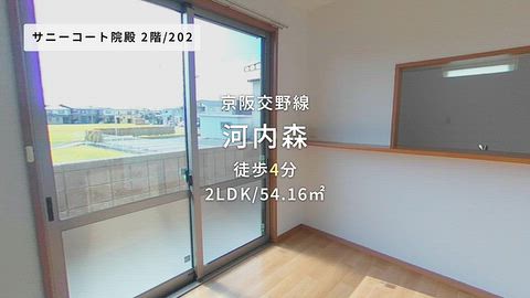 動画