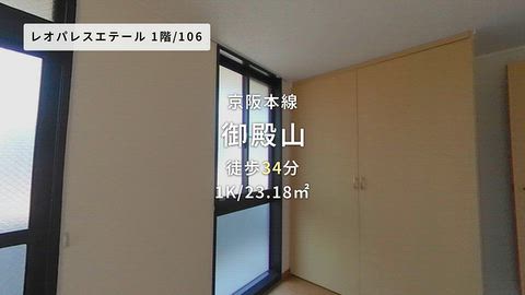 動画