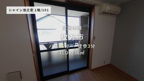 動画
