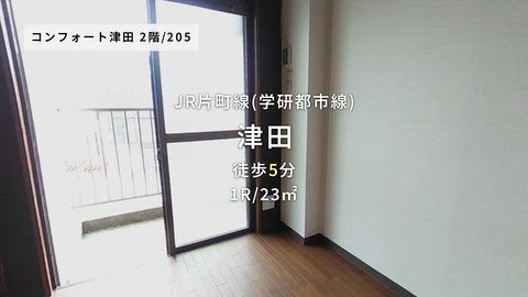 動画