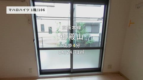 動画