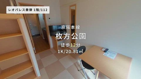 動画