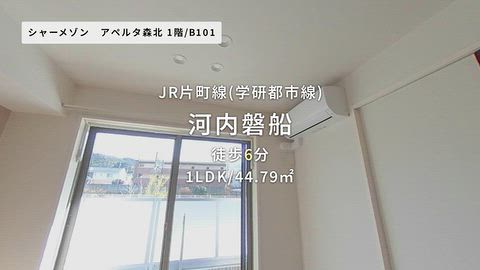 動画