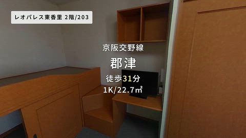 動画