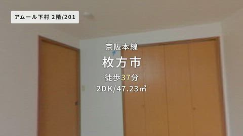 動画