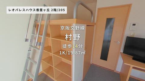 動画