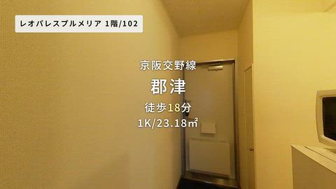 動画